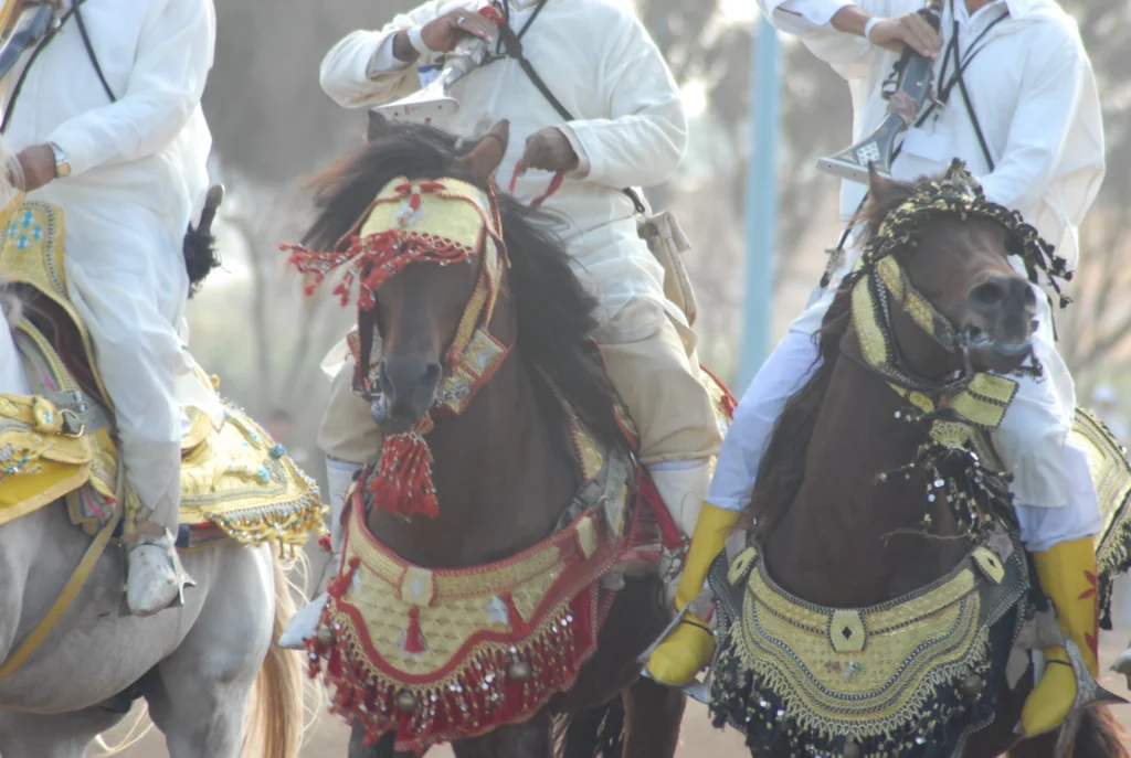 El Jadida Horse Show 2025
