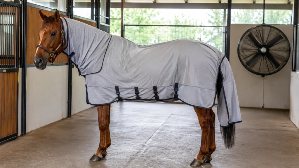Traitement de la dermite estivale chez le cheval : soins, médicaments et prévention 2 Protection du cheval contre les Culicoides avec couverture anti-dermite