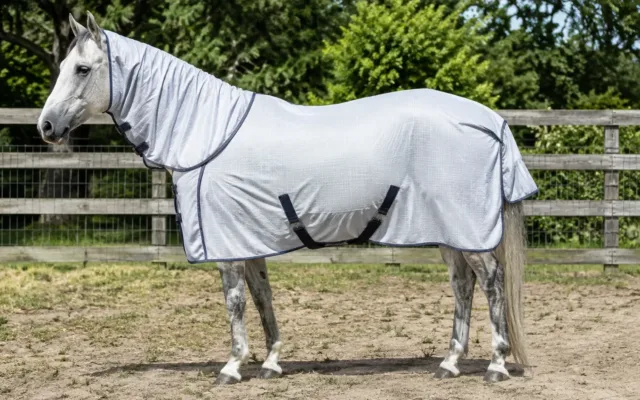 cheval gris couverture protectrice paddock