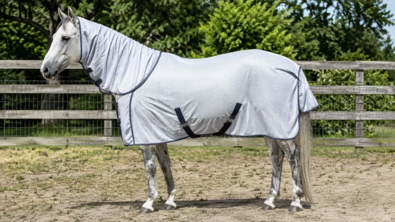 Prévenir dermite estivale cheval avec couverture anti-dermite
